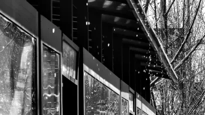 بلاي فرانك كازينو تطبيق الهاتف المحمول